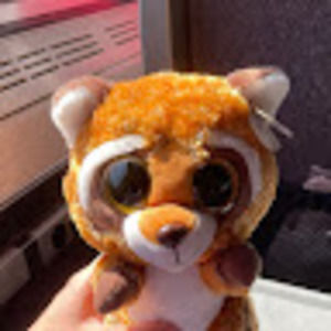 Meet your Posher, Mengwen